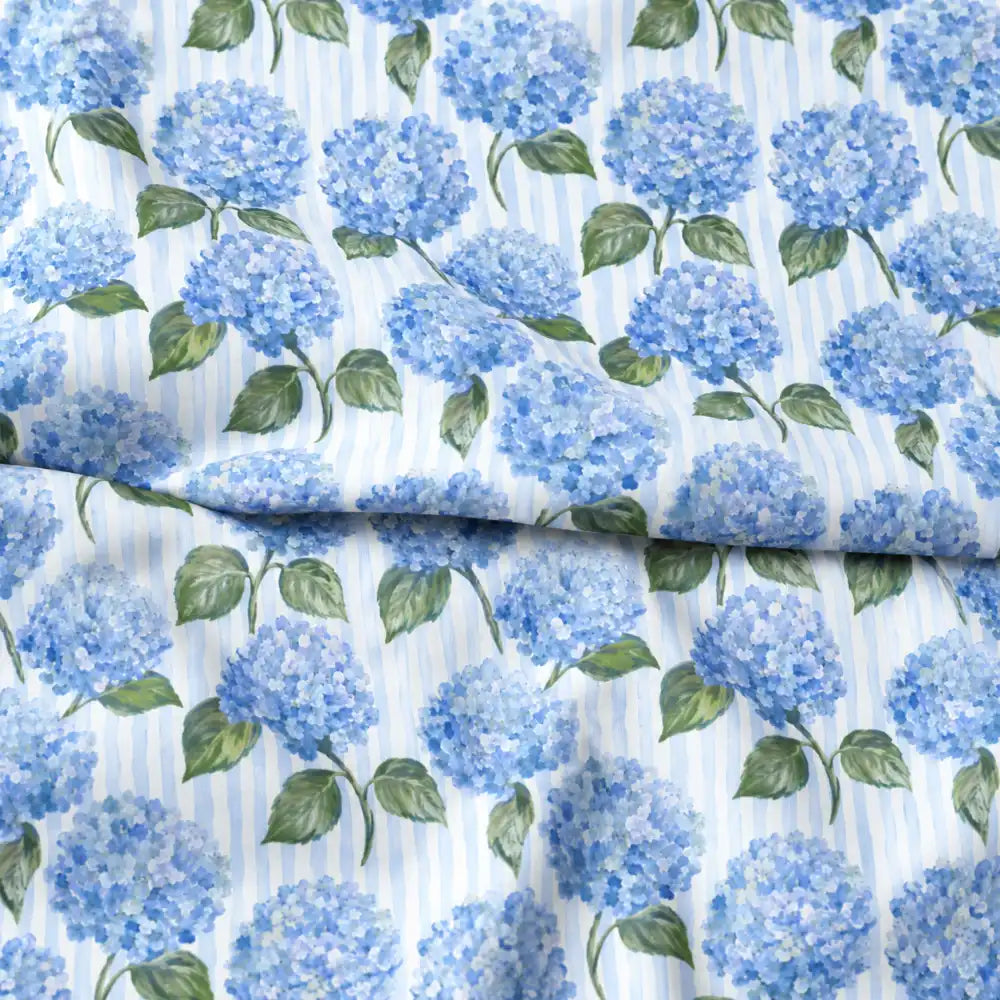 Hydrangea Blue Stripe