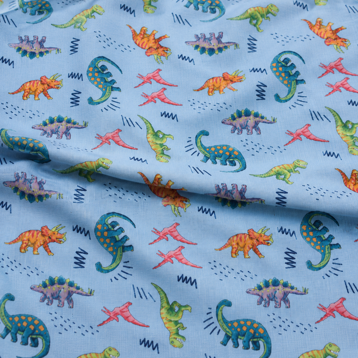 Dino Adventure Midnight Sky Blue