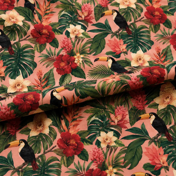 Tropical