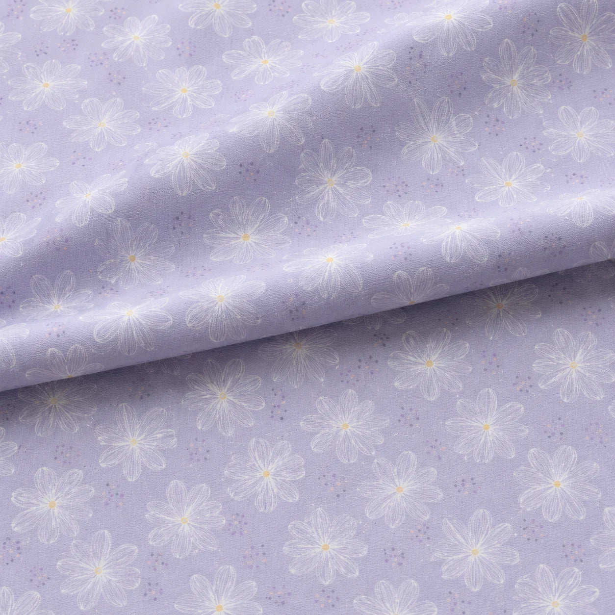 Lavender Mist Daisy