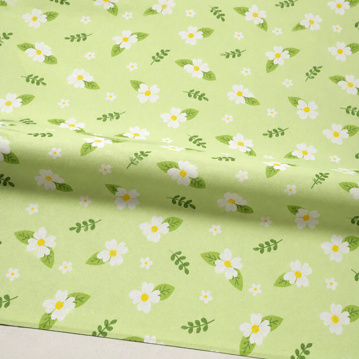 Lime Fresh Daisy