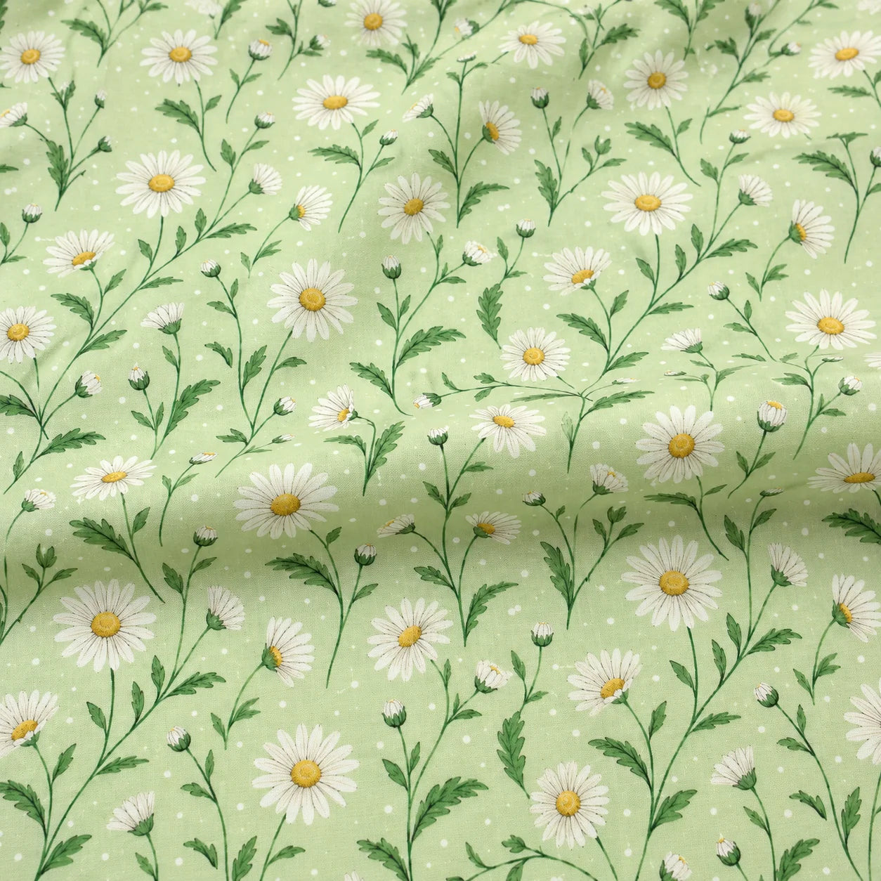 Mint Daisy Meadow