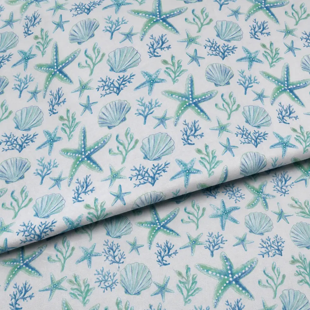 Seafoam Starfish